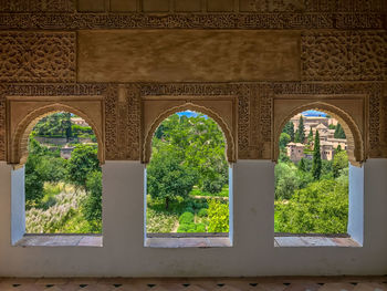 Trees seen through window