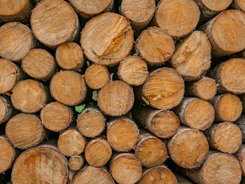 Full frame shot of logs