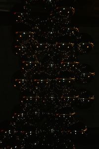 Illuminated christmas tree at night