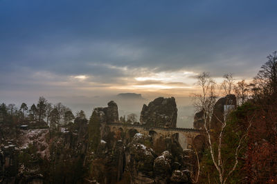 Plants growing in old building against sky during sunset