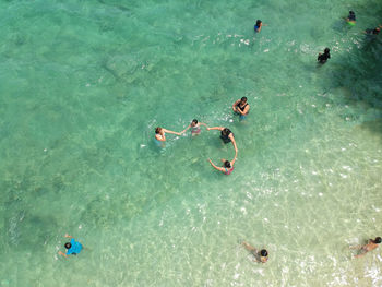 High angle view of people swimming in sea