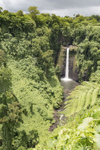 Exotic tropical waterfall (fuipsia) under a grey rainy sky, samoa