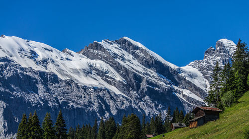 Scenic view of snowcapped mountains against clear blue sky