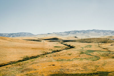 Scenic view of landscape against clear sky