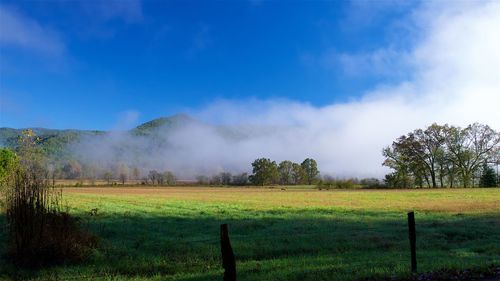 Scenic view of field against sky