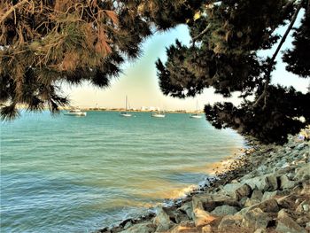 Scenic view of sea against sky