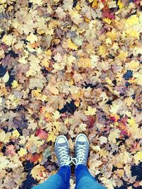 Low section of person standing in autumn leaves