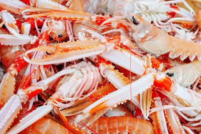 Close up of fresh captured crayfish food for sale