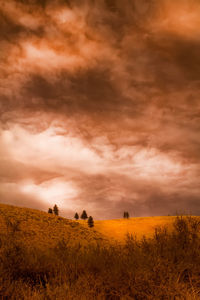 Low angle view of landscape against cloudy sky during sunset