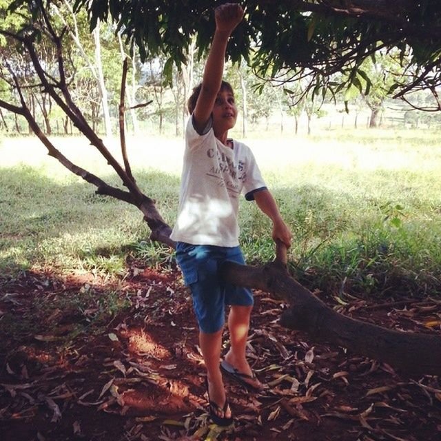 full length, tree, lifestyles, leisure activity, casual clothing, forest, side view, nature, rear view, standing, carefree, motion, childhood, grass, person, outdoors, day, jumping