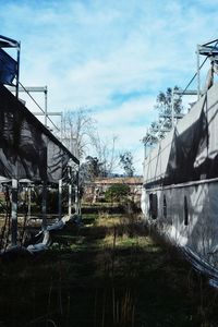 Trees and buildings against sky