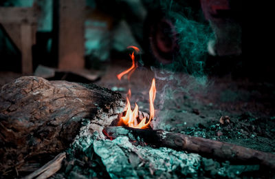 Close-up of fire on log