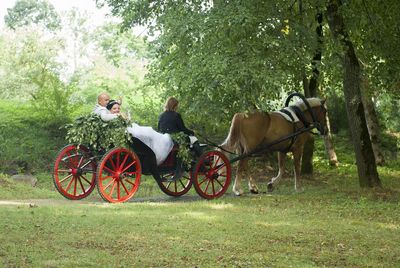 Couple on horse cart