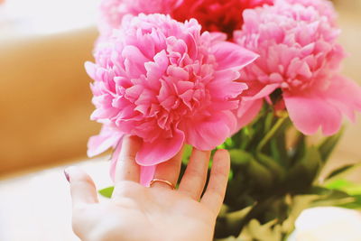 Close-up of hand holding pink flower
