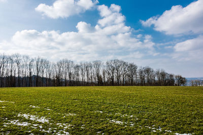 Scenic view of field against sky