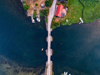 High angle view of trees by sea