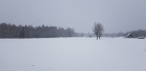 Trees on snow covered field against sky