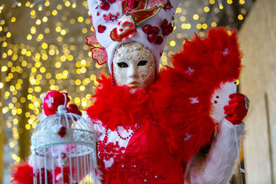 Portrait of person wearing costume during carnival