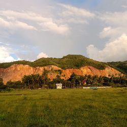 Scenic view of field against sky