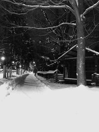 Snow covered street amidst trees and buildings at night