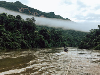 Scenic view of river in forest against sky