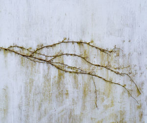 Full frame shot of weathered wall
