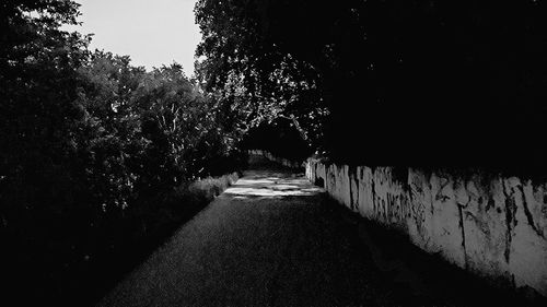 Narrow road along trees