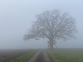 Road amidst trees on field against sky