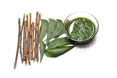 High angle view of green leaves against white background