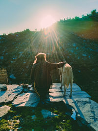 View of a horse standing on sunny day