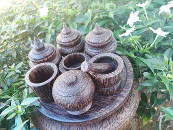 Close-up of snail on plant