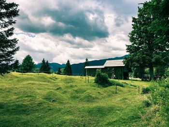 Scenic view of field against sky