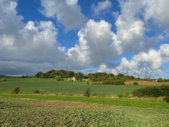 Scenic view of agricultural field against sky