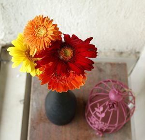Close-up of red flower in vase