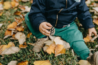 Low section of person holding autumn leaves on field