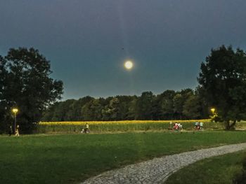 Scenic view of park against clear sky