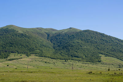 Scenic view of field against clear blue sky