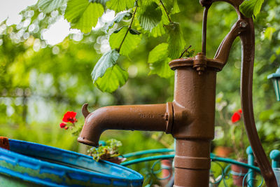 Close-up of hand pump against trees