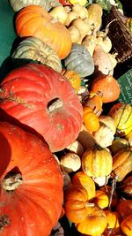 Close-up of pumpkins