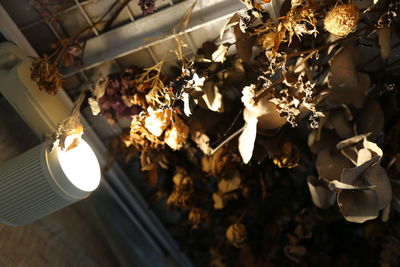 Close-up of illuminated lighting equipment hanging from ceiling