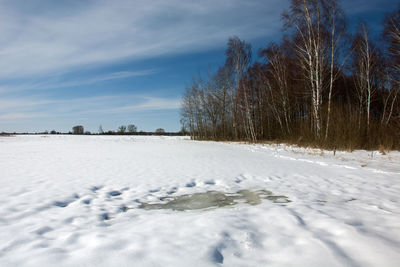 Snow on the field near the forest