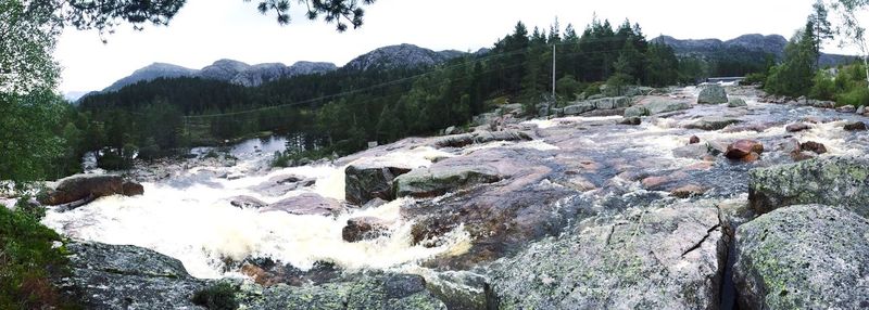 Scenic view of stream flowing through rocks