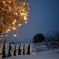 Illuminated tree on snow covered field against sky at night