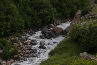 Stream flowing through rocks in forest