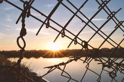 Close-up of silhouette plants against lake during sunset