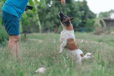 Man with dog on field