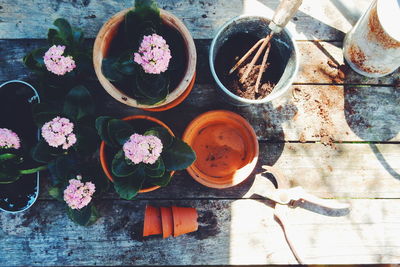 Directly above shot of potted pink flowers on porch during sunny day