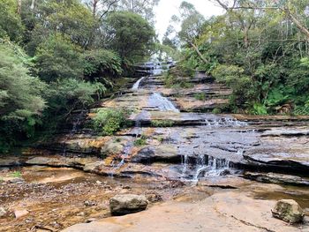 Stream flowing through rocks in forest