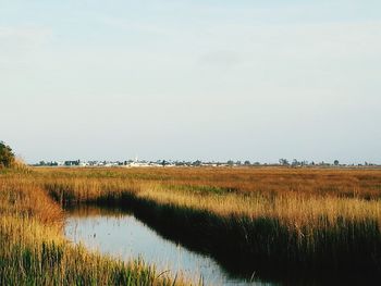 Scenic view of field against sky