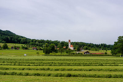 Scenic view of agricultural field against sky